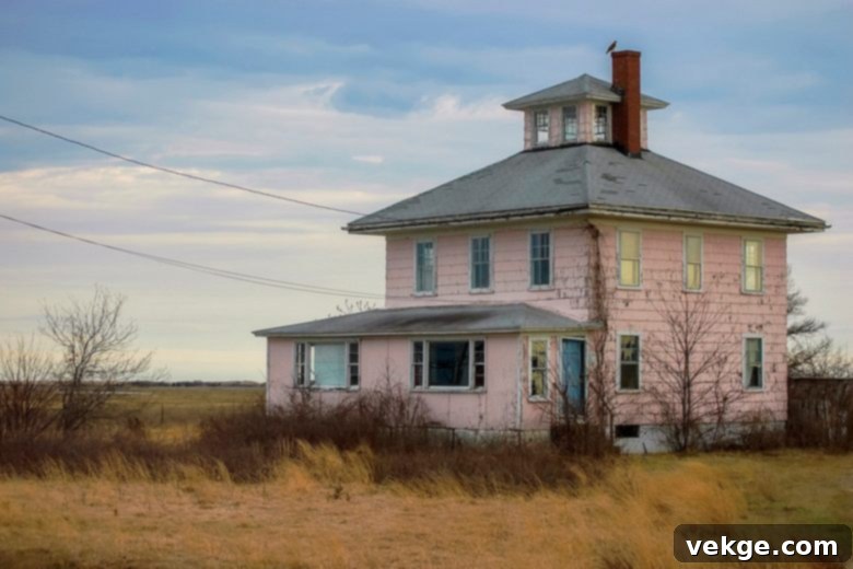 Pink House on Plum Island