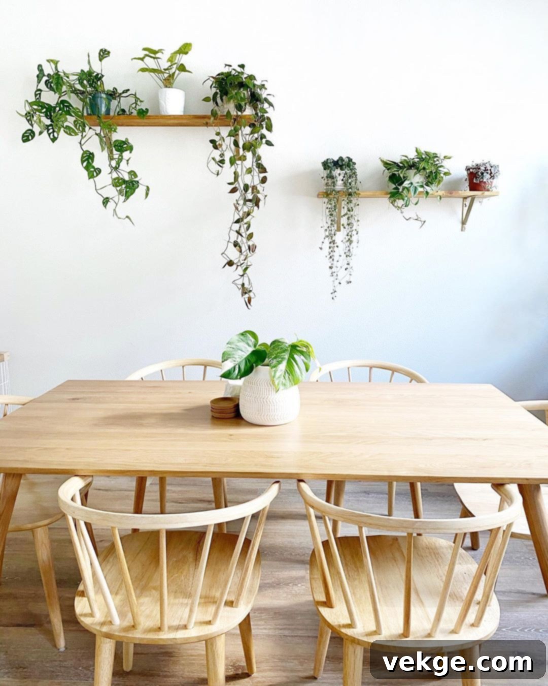 Set Up Plant Shelves mid century modern dining room