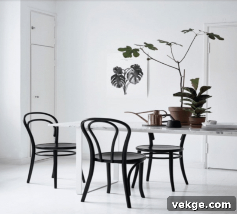 Thonet Style Chair