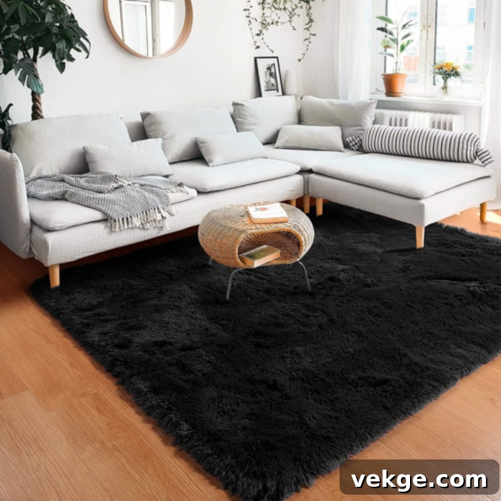 Area Rug