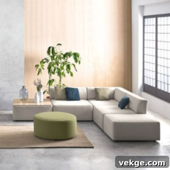 Sofa for a Minimalistic Space