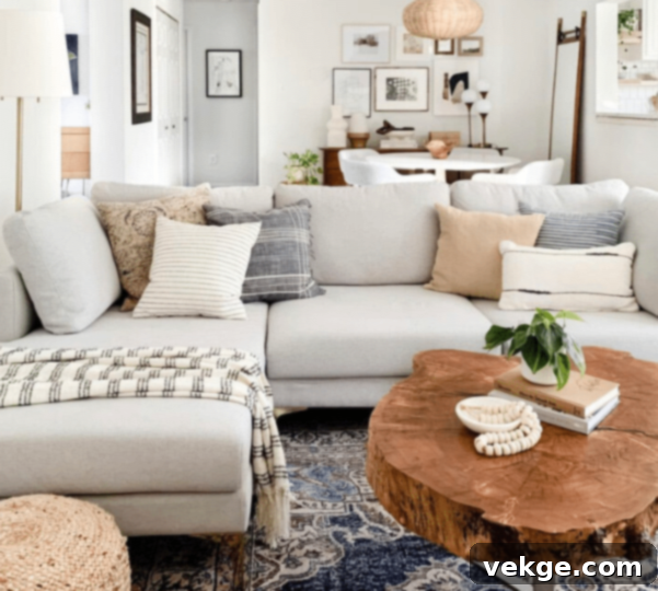 Why Purchase a Lovesac Sactional