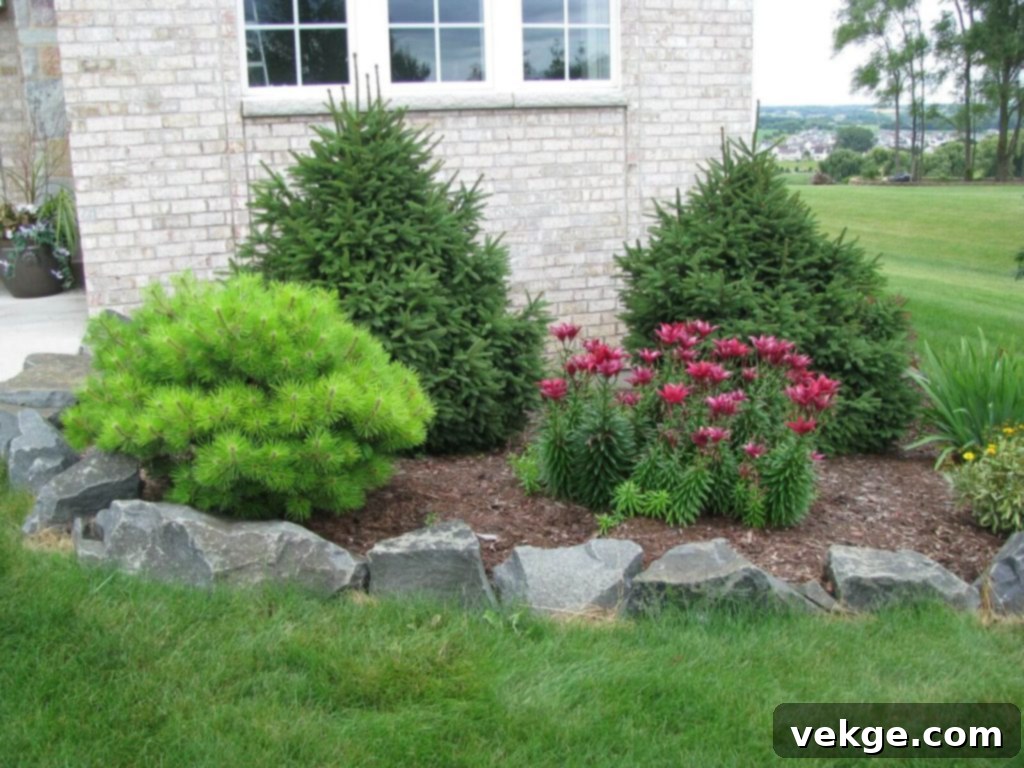 Organic Natural Rock Edging