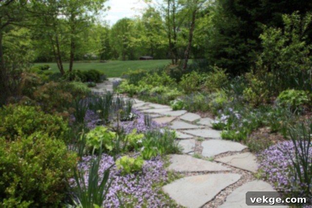 Gravel Walkway Bordering a Garden