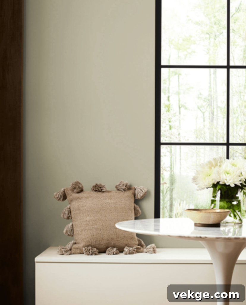 Svelte Sage by Sherwin Williams