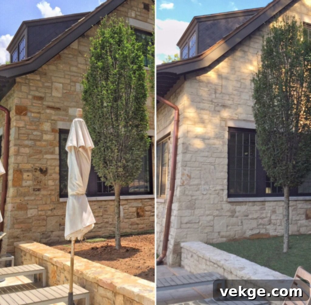 Lighten Your Stone Walls