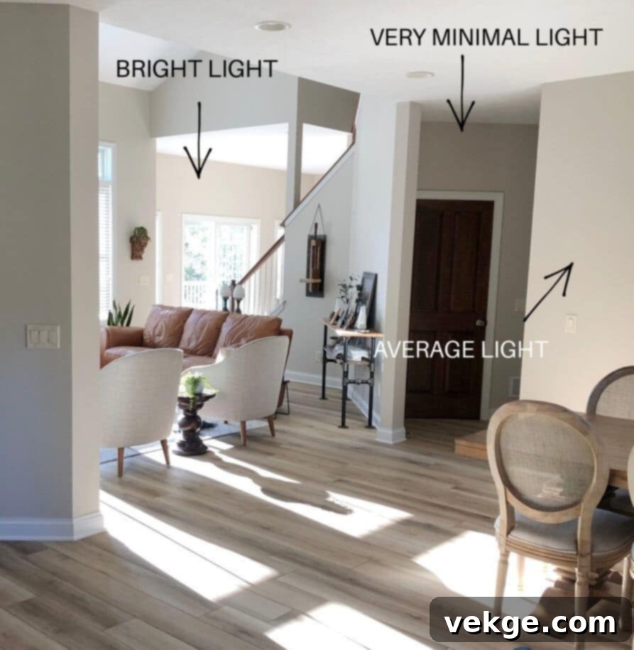 Edgecomb Gray HC-173 adaptability to different light conditions throughout the day.