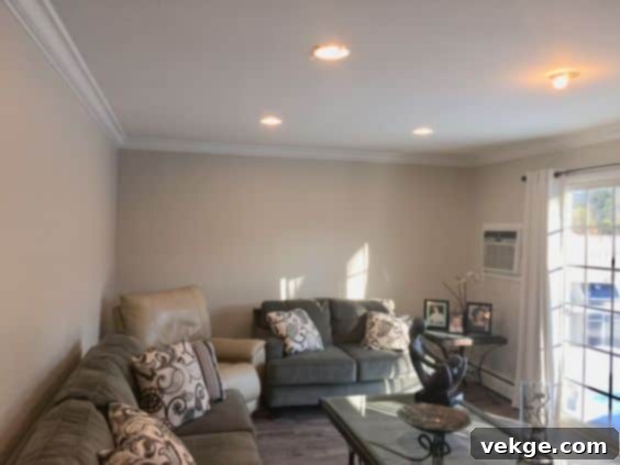 What makes Benjamin Moore HC-173 a versatile paint color for all design styles