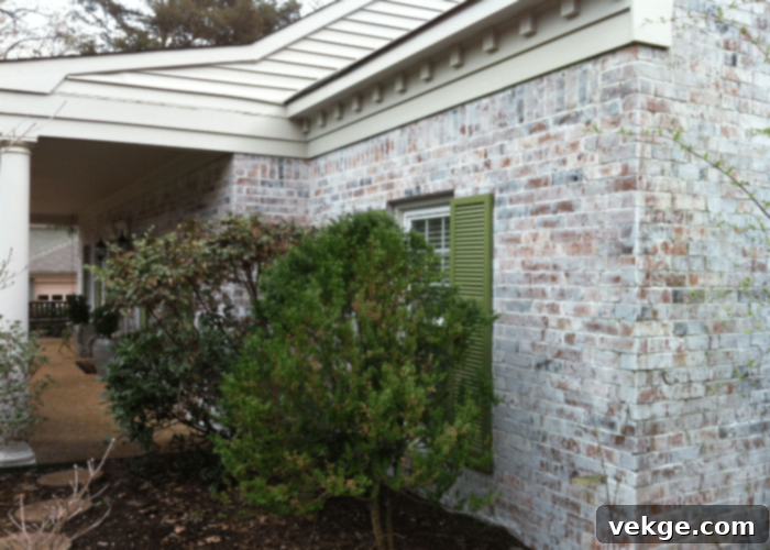 Drying Period and Second Coating