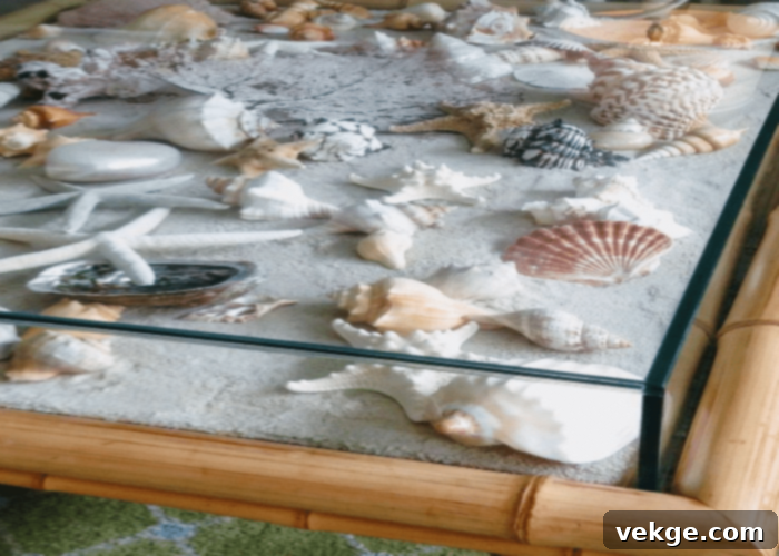 Decorative Table with Seashells and Pebbles