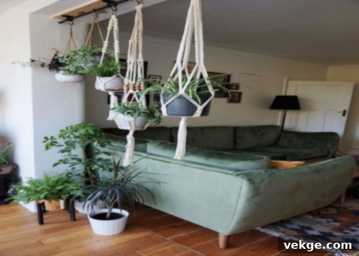Potted Plant Paradise