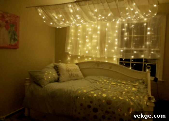  String Lights and Fairy Lights
