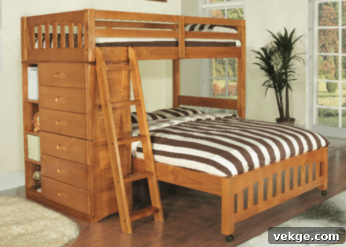 Modest Furniture and Loft Bed