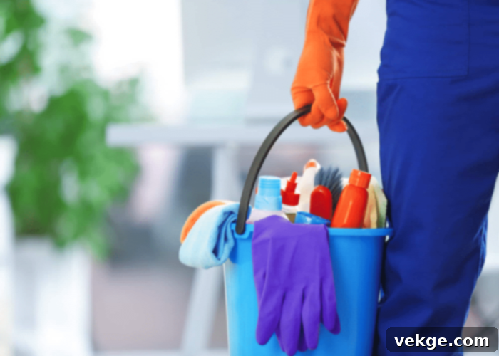 Professional Help for Decor Maintenance