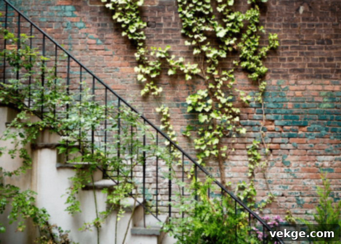 Creepers and Climbers Adorning a Staircase