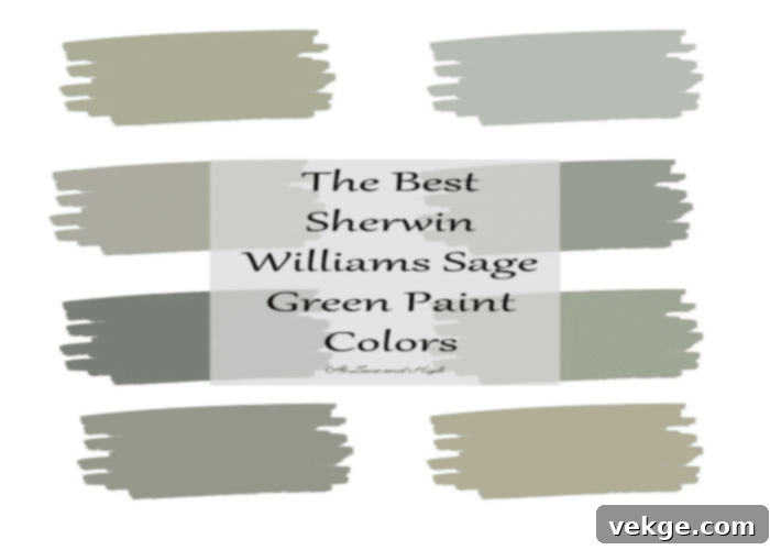 Sherwin Williams Sage Green Color Shades
