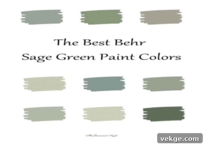 Behr Paints Popular Sage Green Shades