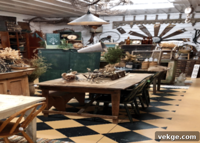 Antique Collection Shops