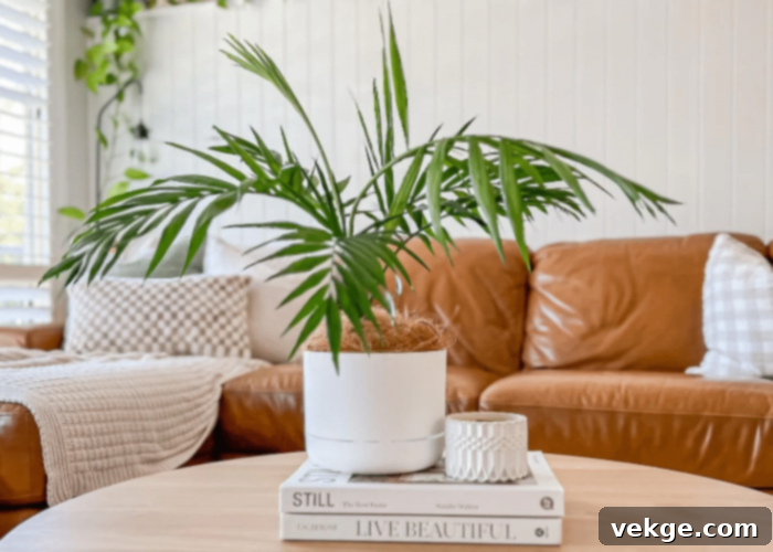 Indoor Plants Enhancing Coastal Home Decor