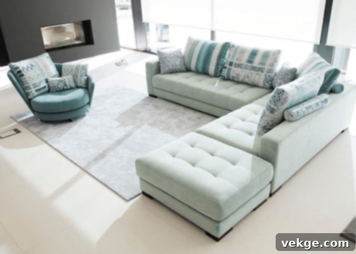 The Living Room Space