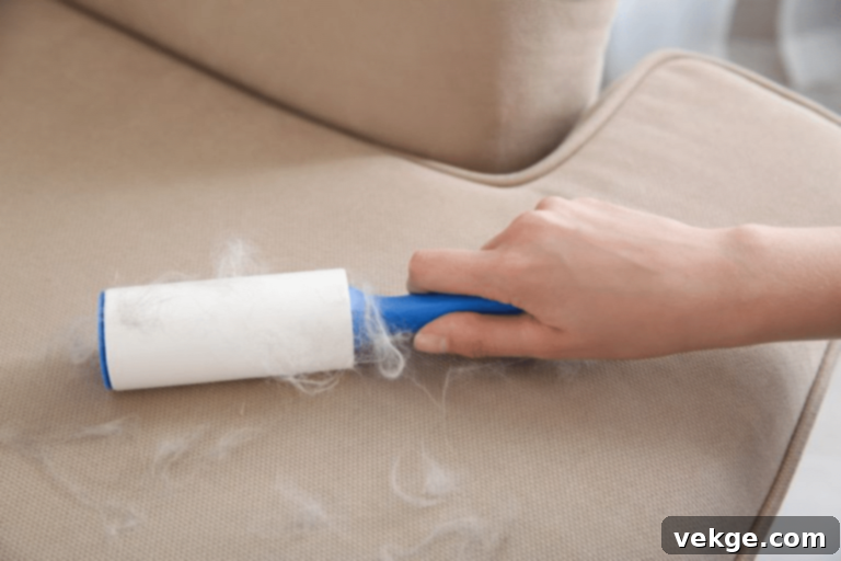 A Lint Roller