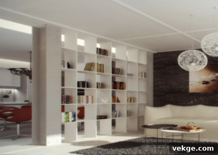 Bookshelf Room Dividers