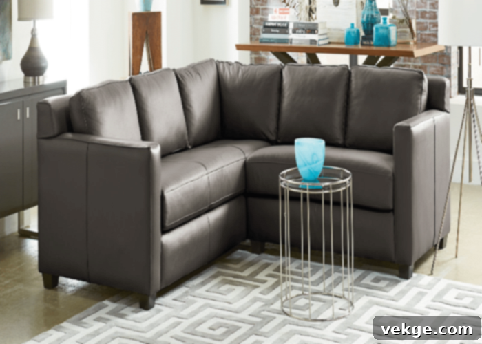 Protected Leather & Its Maintenance