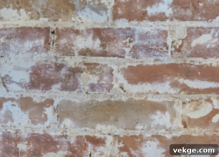 Do’s and Don’ts to Maintain Limewash Bricks
