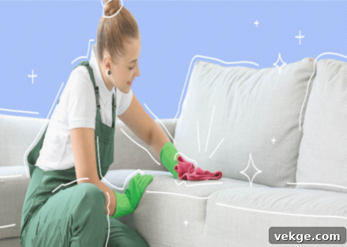  Expert Care