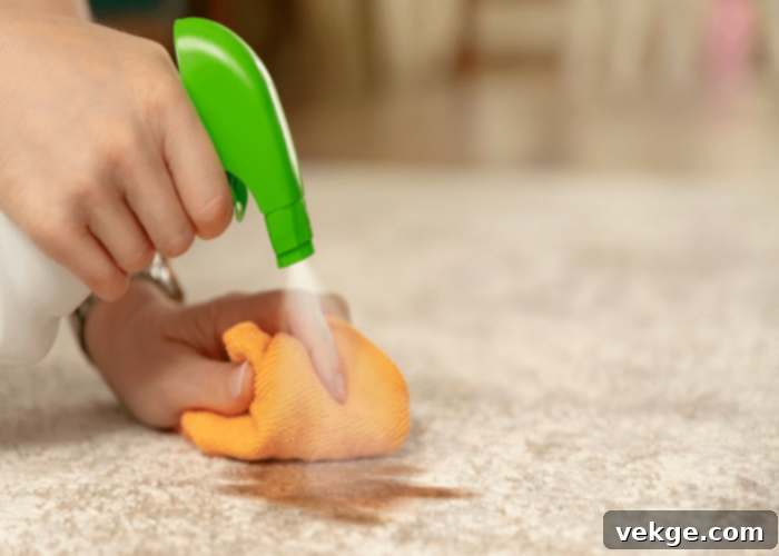  Spot Cleaning
