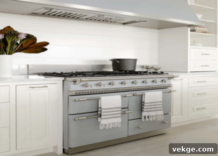 Traditional vs Modern French Stoves