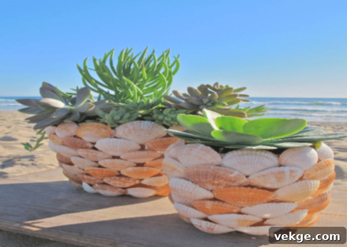 Sea Shell Planters