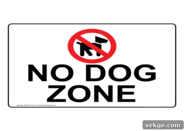 Make a No Pet Zone for Your Beige Couch