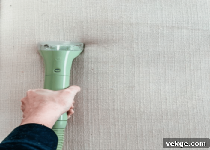 Regularly Vacuum the Sofa