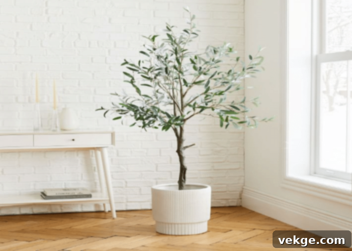 Nature-Inspired Ideas