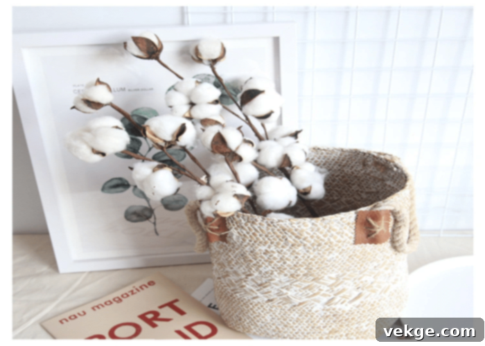 Decorative Cotton Stems in a Vase