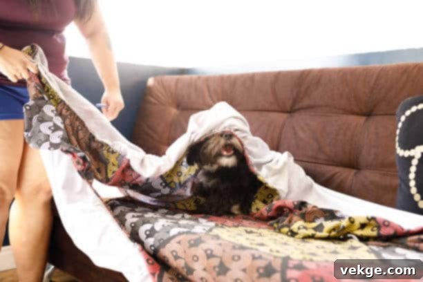 A woman embracing her dog under a fresh blanket on a sofa, symbolizing the comfort of freshly cleaned and returned sofa covers.