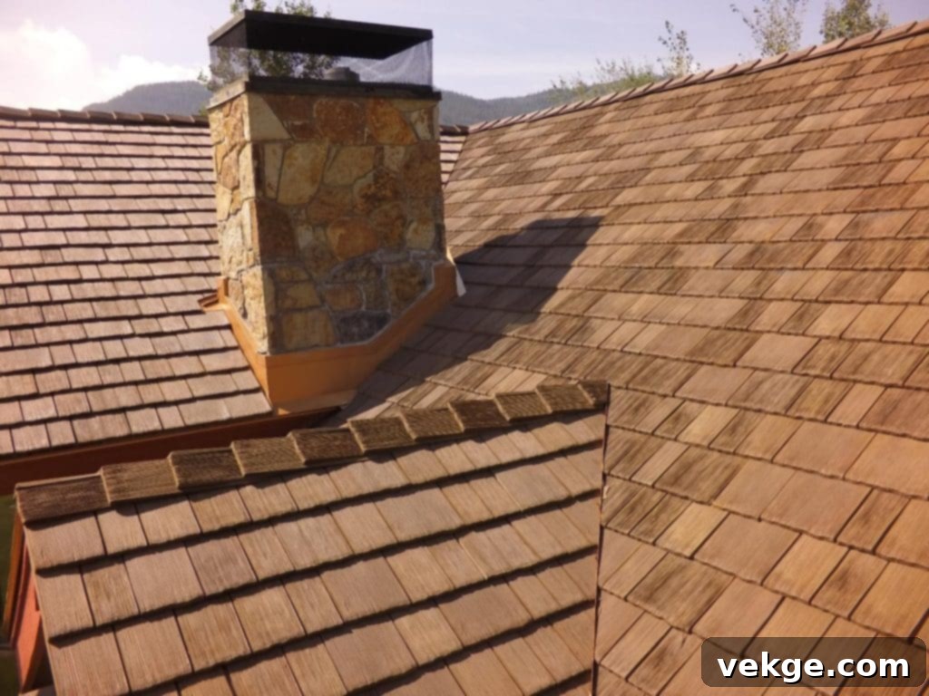 Wonderful Wooden Roofing
