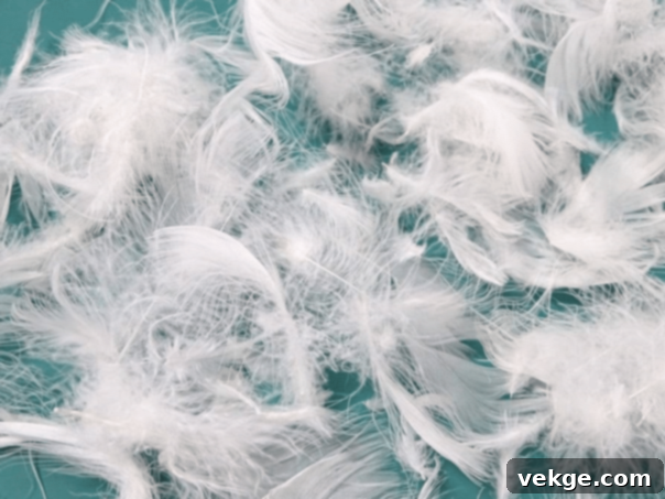 Comfortable feather filling for sofa cushions