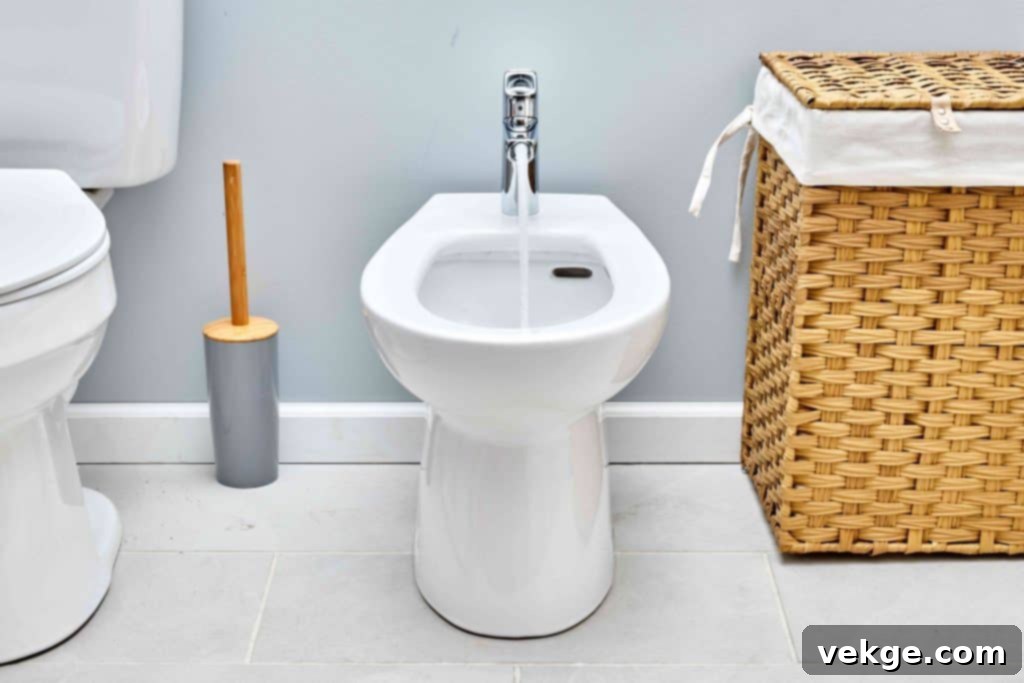 Why you should buy a bidet