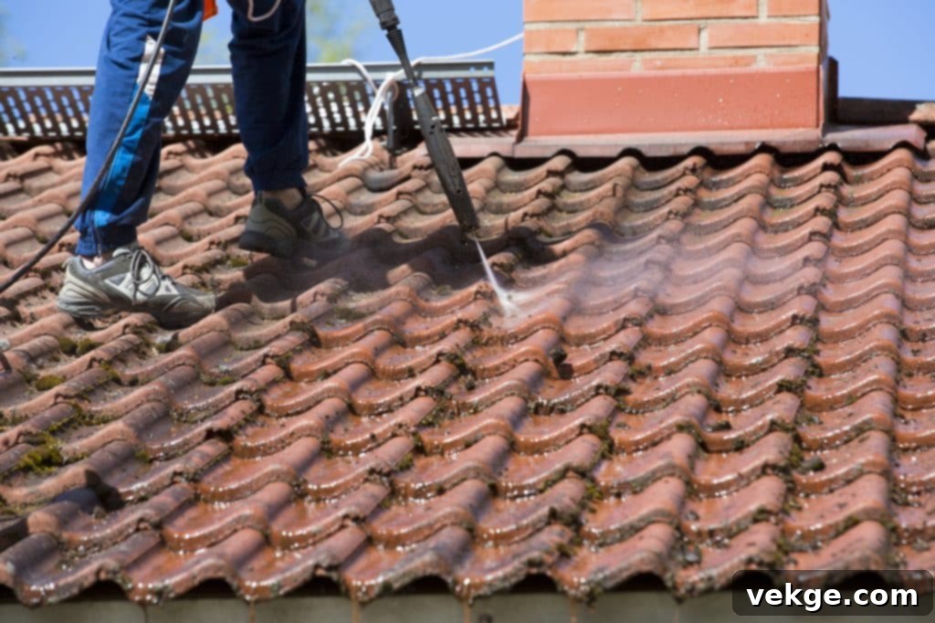 The Importance of Roof Cleaning for Maintenance and Aesthetics
