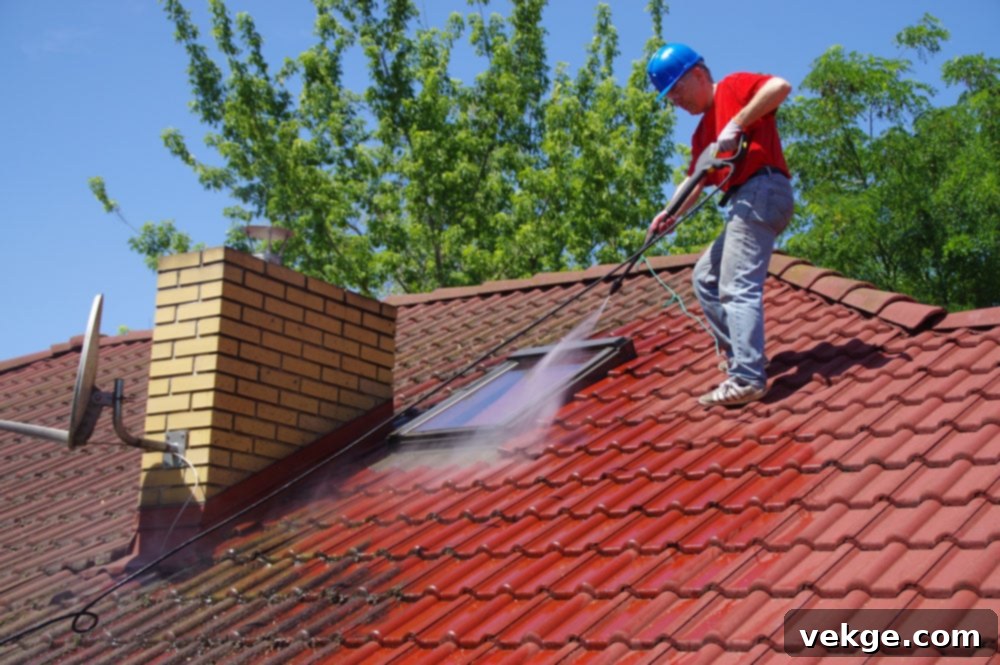 Benefits of a Clean Roof