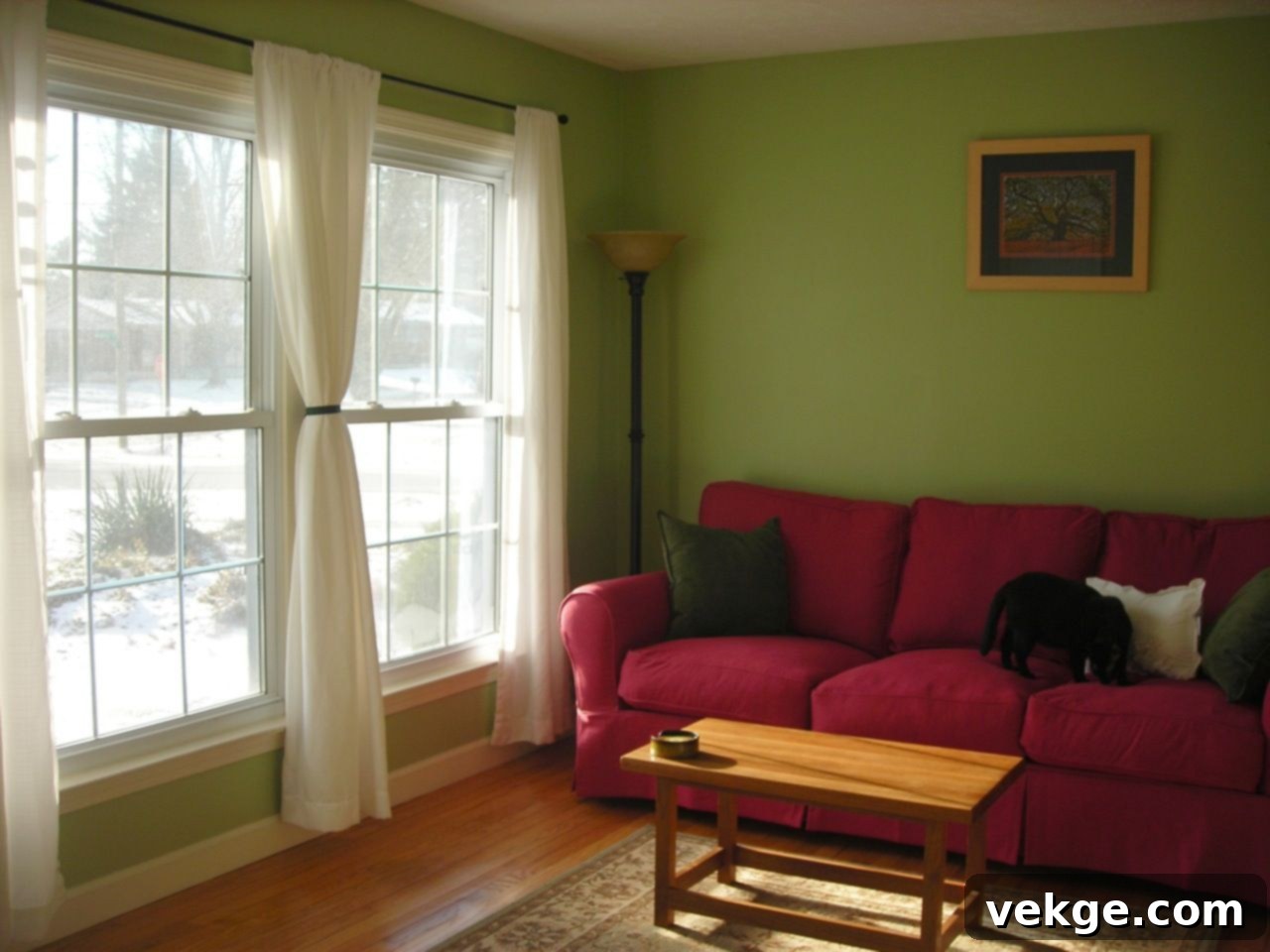 Olive green walls creating a rich, harmonious backdrop for a red sofa
