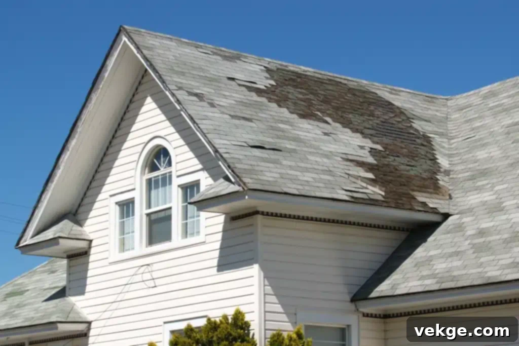 Redo the Roof .jpg
