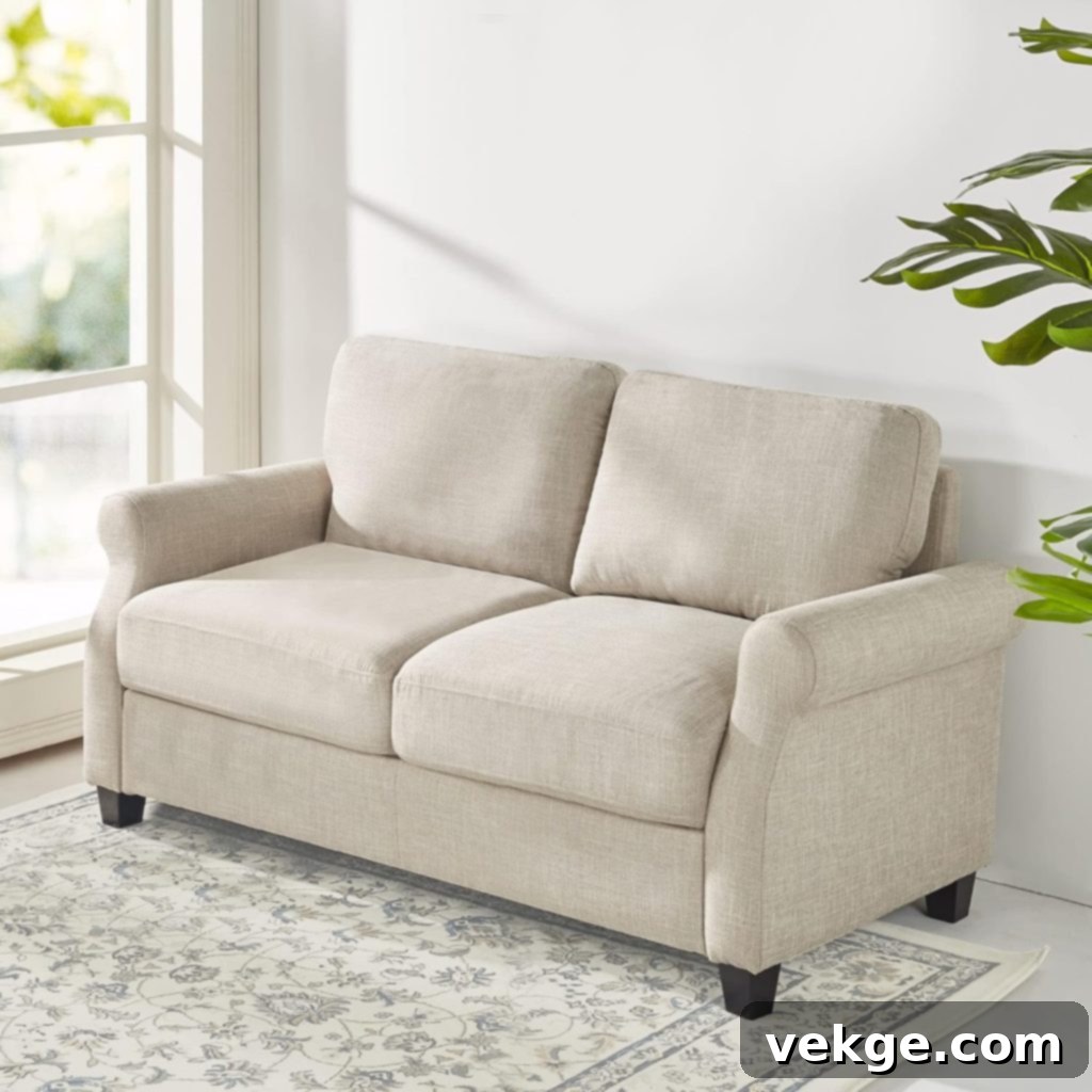 Loveseat Sofa