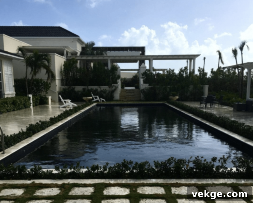A black bottom pool with dark layers of vinyl, plaster, or fiberglass, lending aesthetic vibes to commercial properties. Dark pools absorb natural sunlight, warming the water and saving energy costs. This guide explores aspects of darker shade pools, including temperature, design, chemistry, safety, and maintenance. Contrasting lighter pools are also discussed.