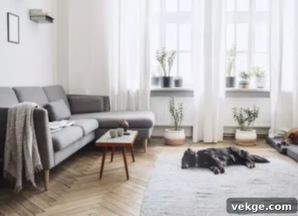 White Walls are Mandatory .jpg