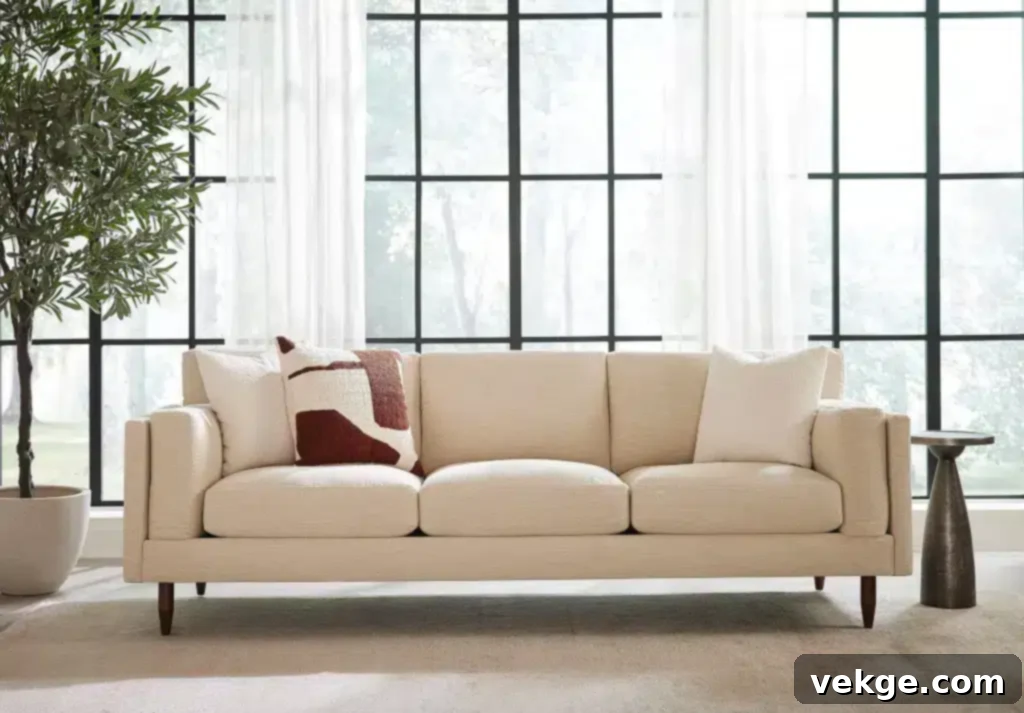 What is a Sofa? .jpg