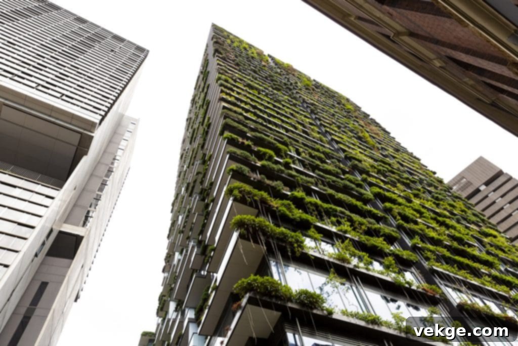 The Rise of Biophilic Design