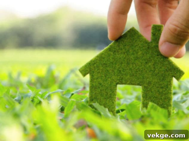 Sustainable and Eco-Friendly Materials in home design